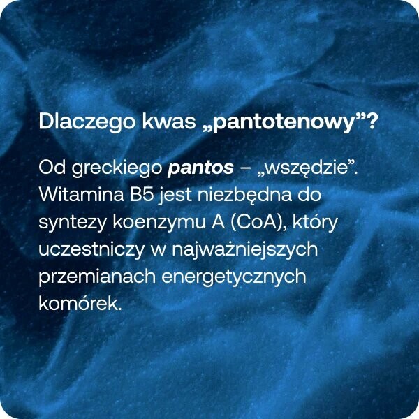 BICAPS B5  60 kaps./Dostawa –5 zł przy zakupie tego produktu/